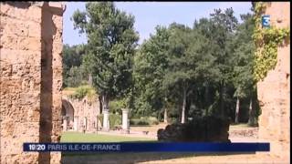 Reportage France 3  30 juillet [upl. by Annaya185]