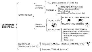 Inmunología 01  Mecanismos de defensa inespecíficos y específicos [upl. by Alemaj129]