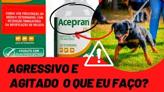 SEDATIVO PARA CACHORRO AGRESSIVO E AGITADO  Acepran NÃO USE SEM ASSISTIR Pode Salvar ou Matar Cães [upl. by Ahseik]