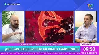 Transgénicos en alimentos ¿Qué características tiene un tomate transgénico [upl. by Olenta205]