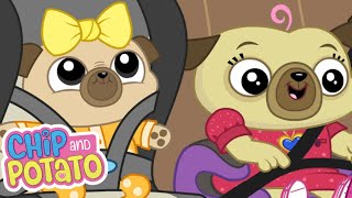 Chip and Potato  Chips School Trip  Big Sister Chip  Cartoons For Kids  Watch More on Netflix [upl. by Cassius]