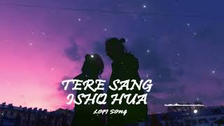 Tere Sang Ishq Hua  Yodha Movie Song [upl. by Laurentium]