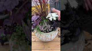 How To Elegant Fall Planter [upl. by Eirhtug]