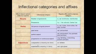 Lexicology Unit 10 Morphology [upl. by Onidranreb]