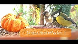 Schöne Herbstferien [upl. by Fi391]