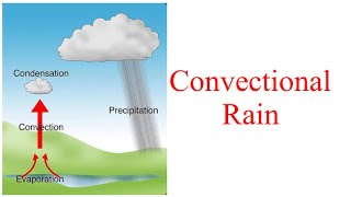 Convectional Rain  How Convectional Rainfall occurs  what is 4 O’ Clock Rain [upl. by Nohsauq108]