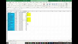 MS Excel tutorial on font and cell formatting colours border format painter etc [upl. by Atteuqahs]