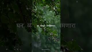 Chimb Bhijlele  Romantic Marathi status  Paus love marathi rain trendingshorts [upl. by Emmett]