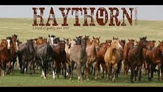 AWARD WINNING RANCHES • HAYTHORN • BOGLE LTD • STUART RANCH [upl. by Aneehsirk]