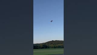 High speed pass with the freewing 80mm Avanti S [upl. by Koby]