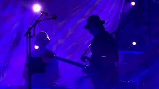 Southbound Pachyderm Primus  Les Claypool’s Fearless Flying Frog 🐸 Brigade Live at Marymoor Park [upl. by Lozano]