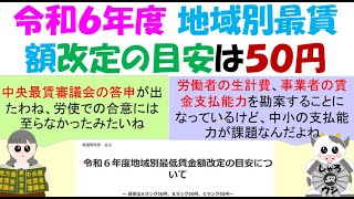 令和６年度 地域別最賃額改定の目安は５０円、労働者の生計費を重視（消費者物価指数上昇）中央最低賃金審議会の答申、公益委員見解 [upl. by Kceb]