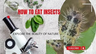 how insects eat 😋 leafkeda makoda khana kase khate hai and also listening quran [upl. by Sutsuj637]