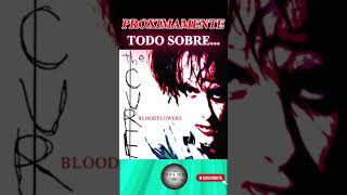 TODO SOBRE BLOODFLOWERS de The Cure [upl. by Breed994]