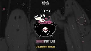 NotS  Sous Potion [upl. by Coucher475]