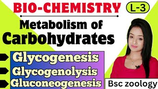 Biochemistry L3Metabolism of carbohydrates Glycogenesis Glycogenolysis gluconeogenesis [upl. by Ylloh]