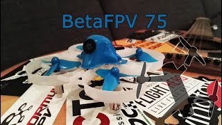 KloPPoTech  BetaFPV 75  Der etwas geilere TinyWhoop [upl. by Nagar]