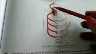 Class7th B and D GScience ChTransport and Excretion Date17821 [upl. by Adnuhsed]