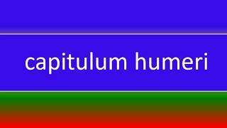 What is capitulum humeri [upl. by Lorna]