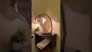 Creative Table Lamp Craft using Jute short reel youtubeshort diy viral trending tablelamp [upl. by Marguerite]