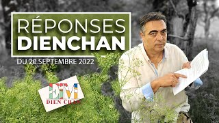 Dien Chan réponses à vos questions [upl. by Ecnahc]