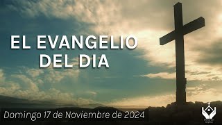 Evangelio de HOY Domingo 17 de Noviembre 2024  No pasara esta generación sin que todo se cumpla [upl. by Zsuedat]