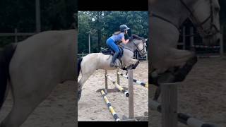 Dessie was perfect for my lesson yesterday Britta subscribe horse equestrain [upl. by Inilam502]