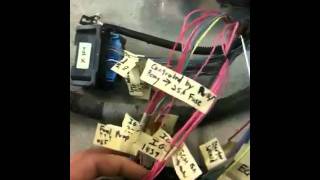 Duramax LMM swap wiring part 2 [upl. by Rheta]