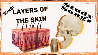 Layers of the Skin SONG  Epidermis Dermis Hypodermis Study Songz [upl. by Nalani]