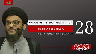 28th Night Of Safar 1446  Syed Adeel Raza  Wafaat Of The Holy Prophet SAWW  01092024 [upl. by Kulda]