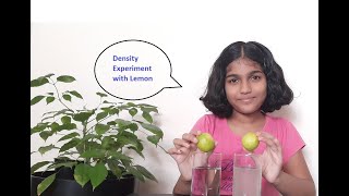 Water Density Experiment with lemon  Science school project for exhibition [upl. by Wrench]