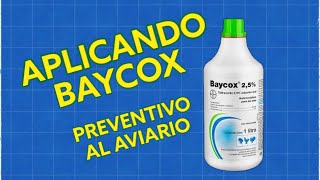 PARTE1APLICANDO PRIMERA DOSIS DE BAYCOX TRATAMIENTO COMPLETO [upl. by Hama]