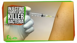 Injecting Yourself with Killer Bacteria [upl. by Notnef]