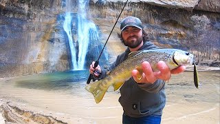 Trout Catch amp Cook at a DESERT Waterfall [upl. by Madeline584]