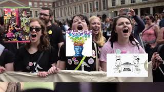 marxists feminism trying to change Ireland Constitution [upl. by Voltz795]