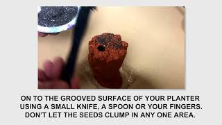 EasytoGrow Instructions for Your Chia Pet [upl. by Derdlim]