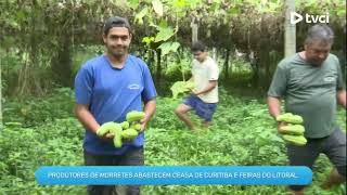 PRODUTORES DE MORRETES ABASTECEM CEASA DE CURITIBA E FEIRAS DO LITORAL [upl. by Aydne]