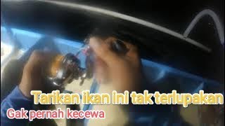 mancing ikan kenyar di LA bali timur tarikanya bikin encok ‼️jiging mancing mancingmania [upl. by Maddis]