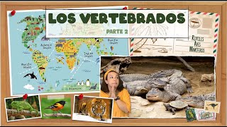 Los animales vertebrados  Parte 2  Reptiles aves y mamíferos BioESOsfera [upl. by Eener]