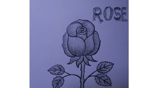 How to draw rose easy step by stepRose drawing with pencil shadingSabaJilani786 [upl. by Henricks288]