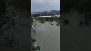 Nangal dam [upl. by Nihhi]