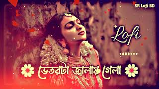 Vetorta Jalay Gela  ভেতরটা জ্বালায় গেলা SlowedReverb Lofi Song  SR Lofi BD [upl. by Yttap]