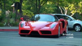 Ferrari Enzo [upl. by Placido]