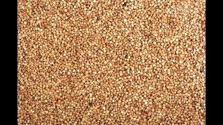 Buckwheat 101Health Benefits [upl. by Sheeb]