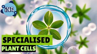 Incredible Secrets of Plant Cells [upl. by Wylde840]