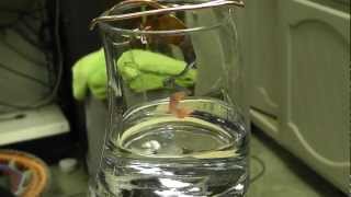 What Is A Catalyst Demo Of A Copper Catalyst amp Acetone [upl. by Kikelia]