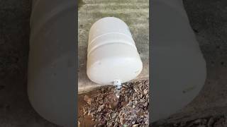 What happens when a water heater expansion tank fails plumbing [upl. by Mapes]