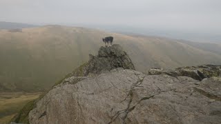 Sharp Edge Blencathra September 21st 2024 down [upl. by Atwood]