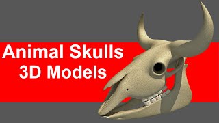 Animal Skulls 3D Models [upl. by Lienet]