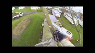 TH Tree Services Pollarding A Poplar Tree In Essex [upl. by Kohler]